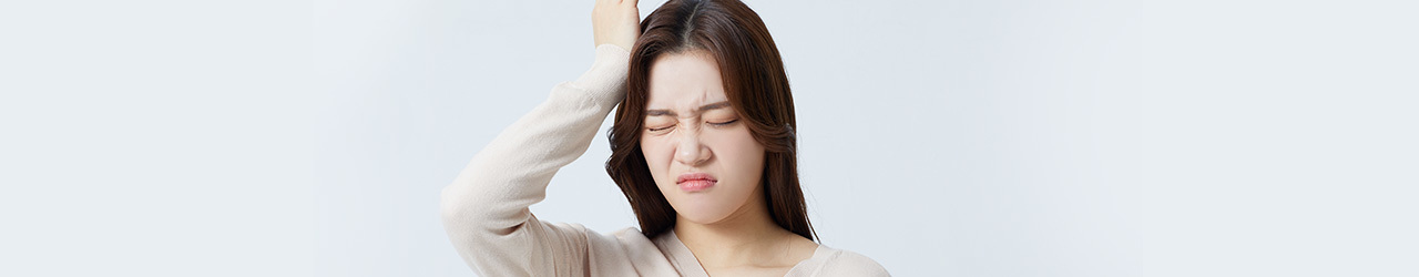 이미지명
